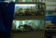 Victor Pak фотография #16 (источник - https://vk.com/id738524)