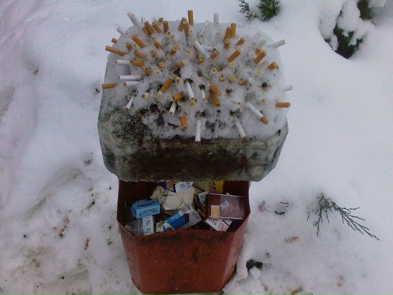 Bora Боровков фотография #24