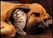 Фотография Горбатюк Анны