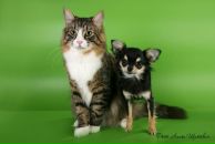 Фотография Табунковой Елены