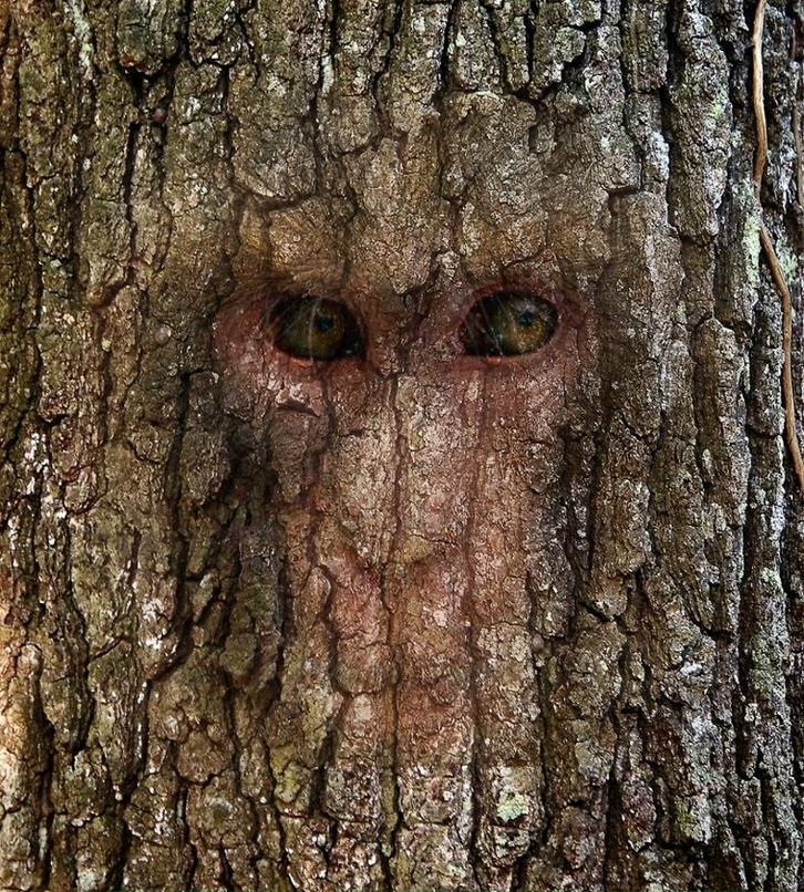 Денис Чалов фотография #29