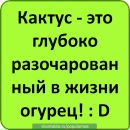 Васілюха Smile фотография #48 (источник - https://vk.com/id56478690)