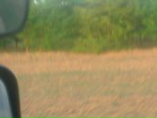 Олег Бугаєнко фотография #40 (источник - https://vk.com/id123767133)