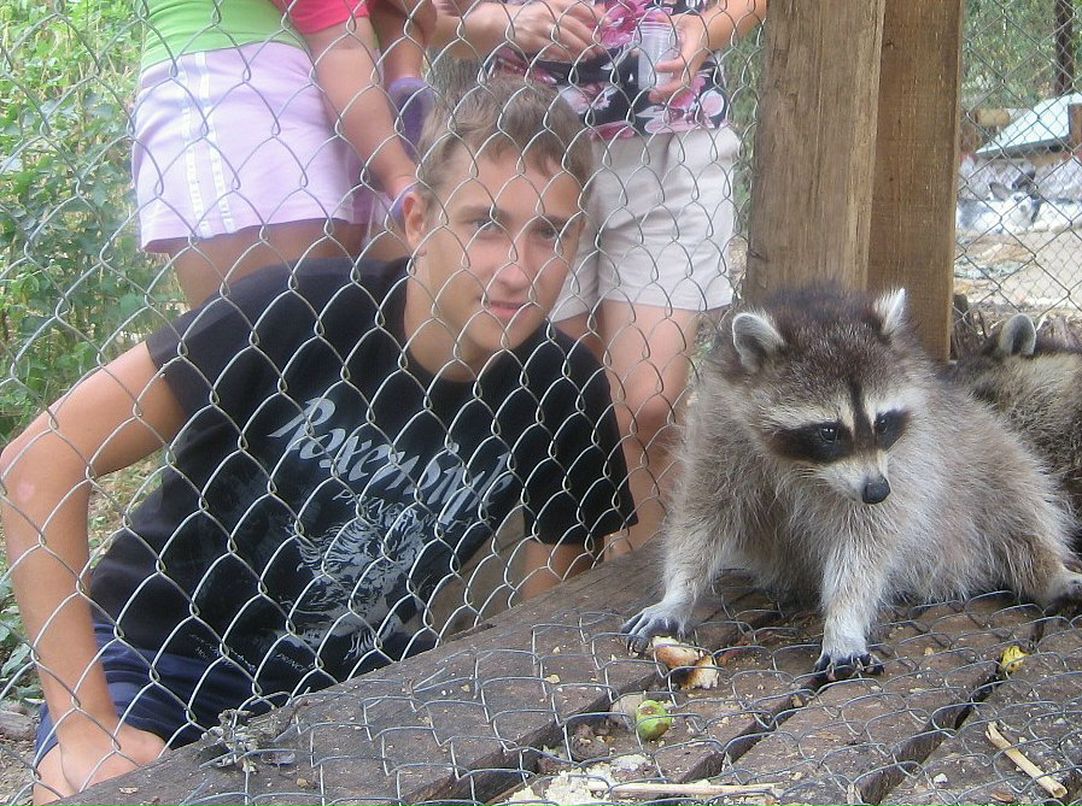 Дмитрий Сергеев фотография #44