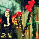 Діма Пітура фотография #3 (источник - https://vk.com/id104139850)