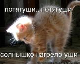 Вікторія Низик фотография #31 (источник - https://vk.com/id150684742)