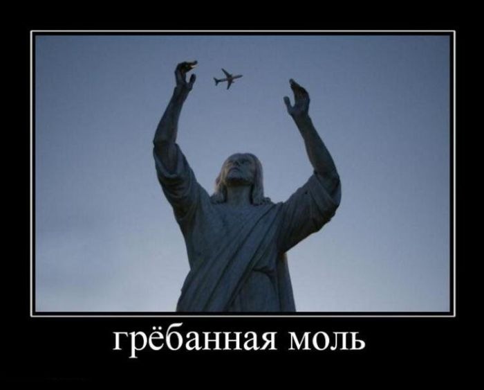 Дмитрий Шкапов фотография #24