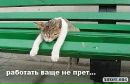 Андрій Федорович фотография #46 (источник - https://vk.com/id113532654)