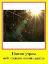 Володимир Вітер фотография #45 (источник - https://vk.com/id50327764)