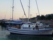 Ігор Павлишак фотография #17 (источник - https://vk.com/id23348574)