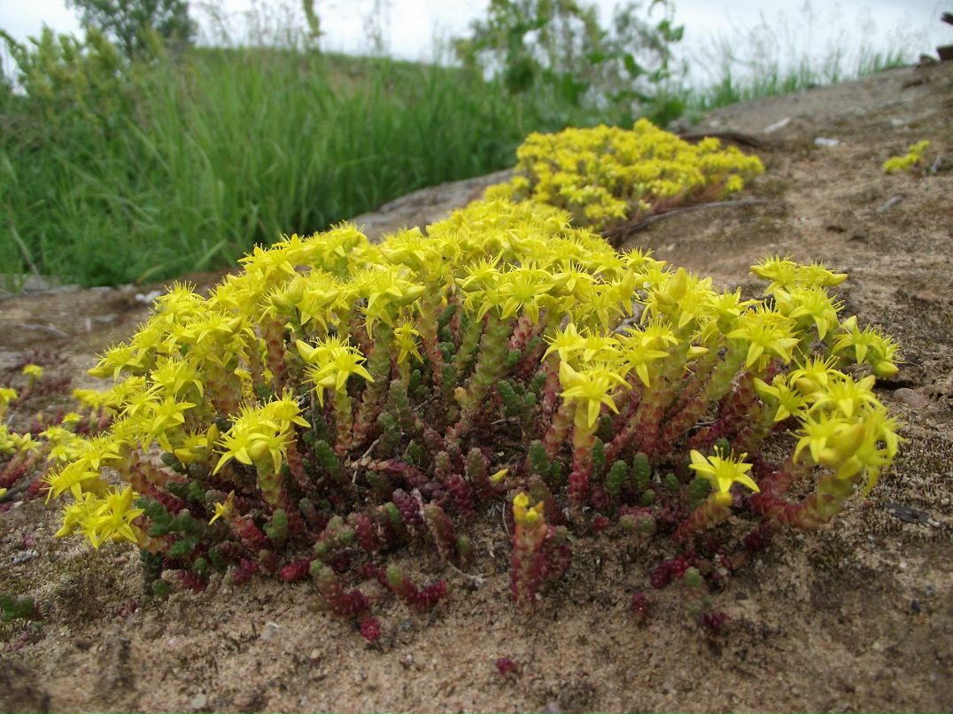 Аня Грищенко фотография #41