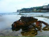 Фотография Носковой Анастасии