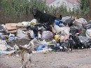 Андрій Ваврик фотография #3 (источник - https://vk.com/id58213275)
