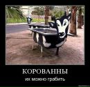 Olga Olla фотография #42 (источник - https://vk.com/id138036530)