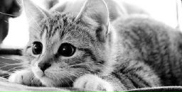 Фотография Семянников Владимир