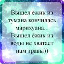 Євгеній Плешаков фотография #13 (источник - https://vk.com/id139823529)