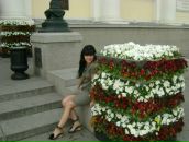 Фотография Соколовой Ольги