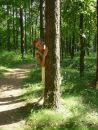 Фотография Infinity Ирсены