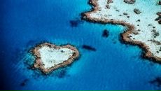 Вікторія Якимець фотография #12 (источник - https://vk.com/id37321077)