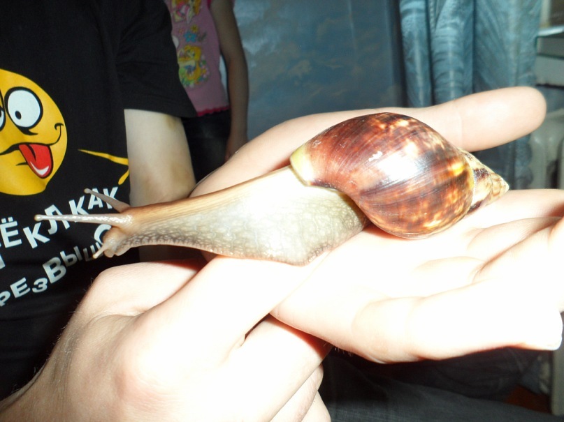 Дмитрий Коряков фотография #49