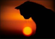 Фотография Кунаревой Марии