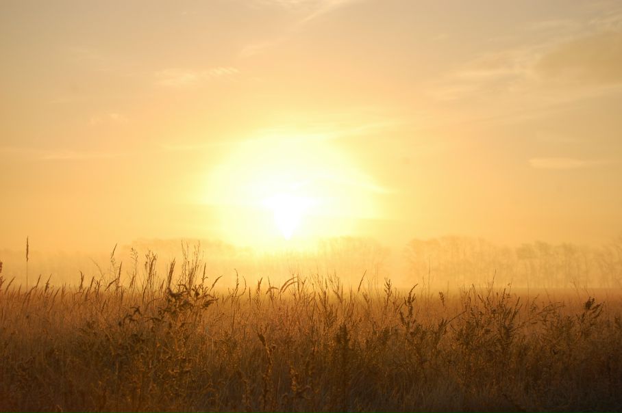 Михаил Яковлев фото №21