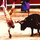 Фотография Бондаренко Никиты