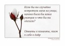 Юліанка Позитифчик фотография #19 (источник - https://vk.com/id95972384)