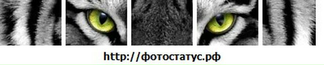 Ігор Богданович фотография #19 (источник - https://vk.com/id112177504)