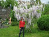 Вікторія Бенкфорт фотография #44 (источник - https://vk.com/id109061979)