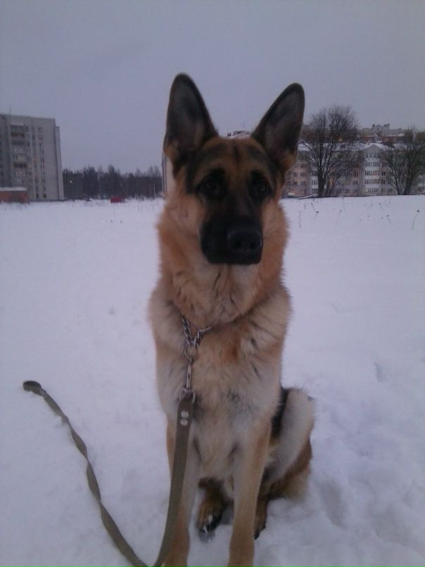 Андрей Кубышкин фотография #36