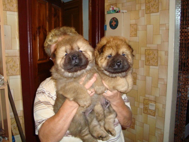 Виктор Башкин фотография #35