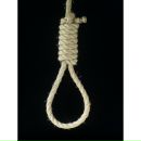 The Mentality фотография #23 (источник - https://vk.com/id89879953)