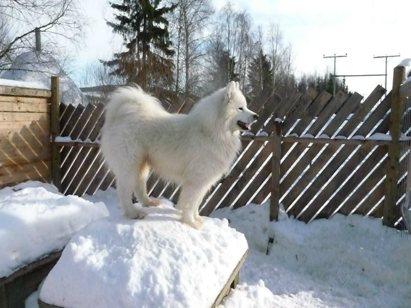 Катя Бутенко фотография #36