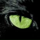 Фотография Кижаевой Юлии