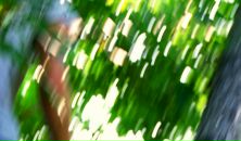 Йохан Кашпировский фотография #26 (источник - https://vk.com/id3096701)