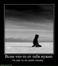 Фотография Геннадий Карцев