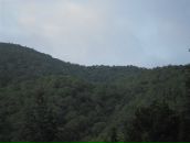 Сергій Моргун фотография #35 (источник - https://vk.com/id68676646)