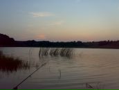 Міша Воробець фотография #2 (источник - https://vk.com/id110372457)