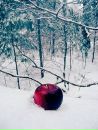 Alina =) фотография #7 (источник - https://vk.com/id90747440)