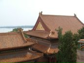 Илья Лычагин фотография #28 (источник - https://vk.com/id225448)