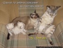 Андруся:)) Лозинська фотография #33 (источник - https://vk.com/id121655750)