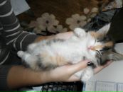 Фотография Шкредовой Татьяны