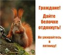 Оленка Матвієва фотография #19 (источник - https://vk.com/id159622565)