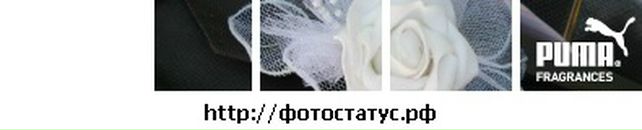 Вікторія Кузка фотография #36 (источник - https://vk.com/id134995571)