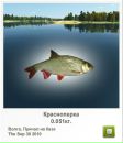 Віталій Пастрама фотография #35 (источник - https://vk.com/id34071171)