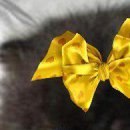 Aseel Trabelsi фотография #11 (источник - https://vk.com/id62636903)