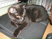 Анна Евстратова фотография #18 (источник - https://vk.com/id1560898)