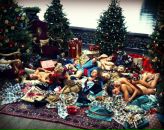 Captains Cab фотография #33 (источник - https://vk.com/id872754)