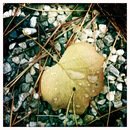 Human Equation фотография #8 (источник - https://vk.com/id60607658)